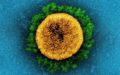 virus_img.jpg virus_img.jpg
