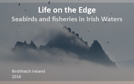 Click on image to see full-sized version Cover Image © Mark Carmody