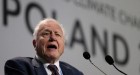 David Attenborough at COP 24 pleading with world leaders to do something David Attenborough at COP 24 pleading with world leaders to do something