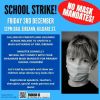 school_strike_fri_3rd_dec_at_dail_eireann_dublin.jpg school_strike_fri_3rd_dec_at_dail_eireann_dublin.jpg