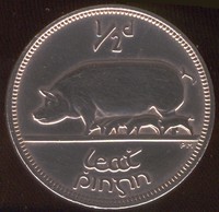 let a pig into your home today. It's your culture.