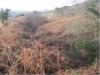 A Section of the Black Pig's Dyke on Ardkill Mountain A Section of the Black Pig's Dyke on Ardkill Mountain